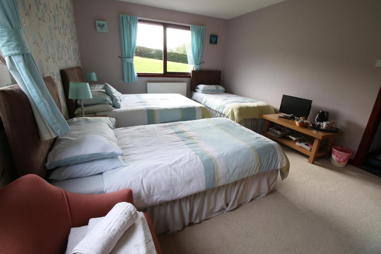 Mapleview Bed And Breakfast Corse  外观 照片